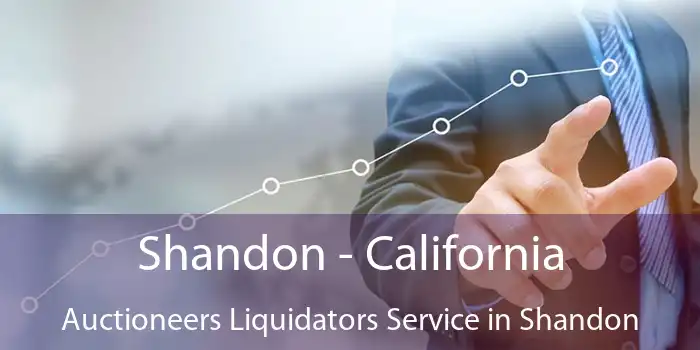 Shandon - California Auctioneers Liquidators Service in Shandon