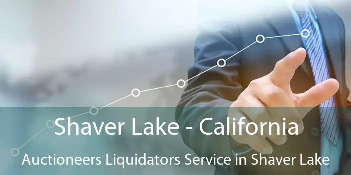 Shaver Lake - California Auctioneers Liquidators Service in Shaver Lake