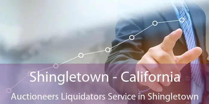 Shingletown - California Auctioneers Liquidators Service in Shingletown