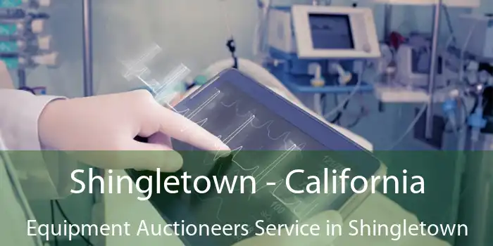 Shingletown - California Equipment Auctioneers Service in Shingletown