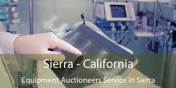 Sierra - California Equipment Auctioneers Service in Sierra