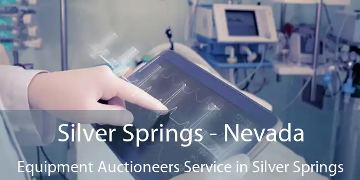 Silver Springs - Nevada Equipment Auctioneers Service in Silver Springs