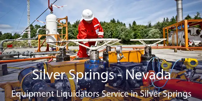 Silver Springs - Nevada Equipment Liquidators Service in Silver Springs