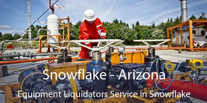 Snowflake - Arizona Equipment Liquidators Service in Snowflake