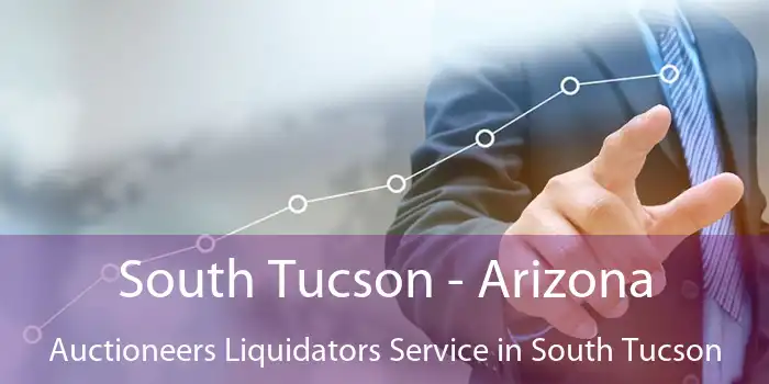 South Tucson - Arizona Auctioneers Liquidators Service in South Tucson