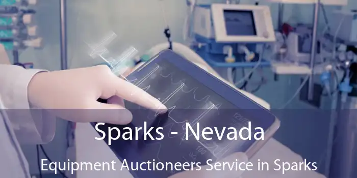 Sparks - Nevada Equipment Auctioneers Service in Sparks