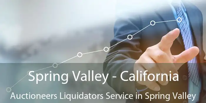 Spring Valley - California Auctioneers Liquidators Service in Spring Valley