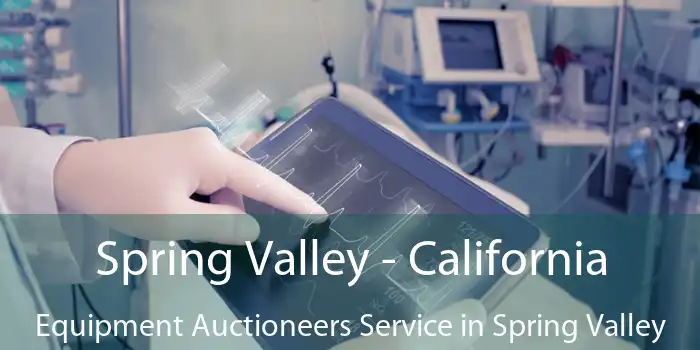 Spring Valley - California Equipment Auctioneers Service in Spring Valley