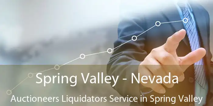 Spring Valley - Nevada Auctioneers Liquidators Service in Spring Valley