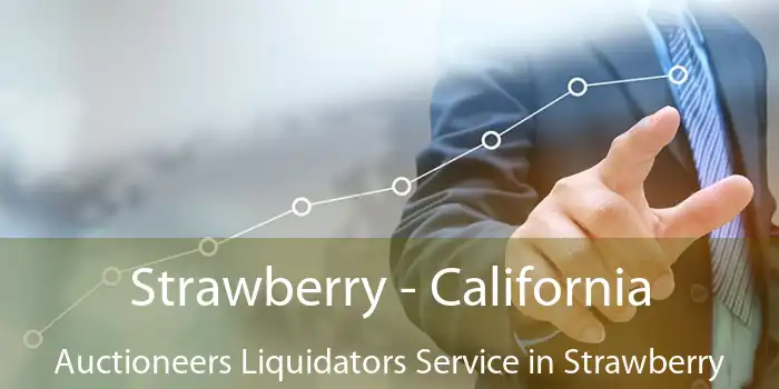 Strawberry - California Auctioneers Liquidators Service in Strawberry