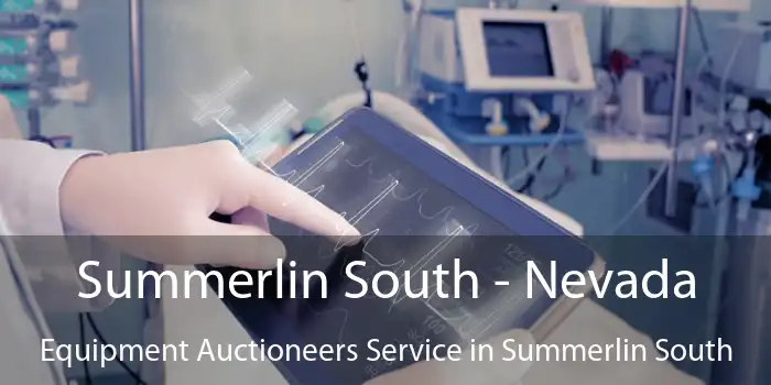 Summerlin South - Nevada Equipment Auctioneers Service in Summerlin South