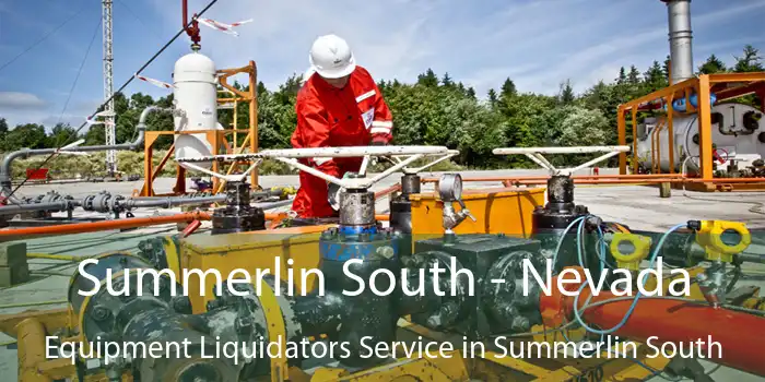 Summerlin South - Nevada Equipment Liquidators Service in Summerlin South