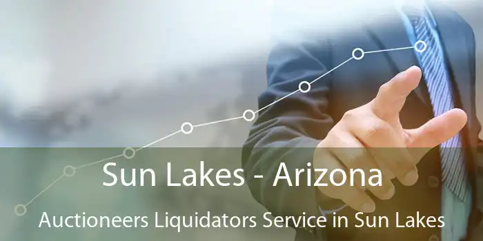 Sun Lakes - Arizona Auctioneers Liquidators Service in Sun Lakes