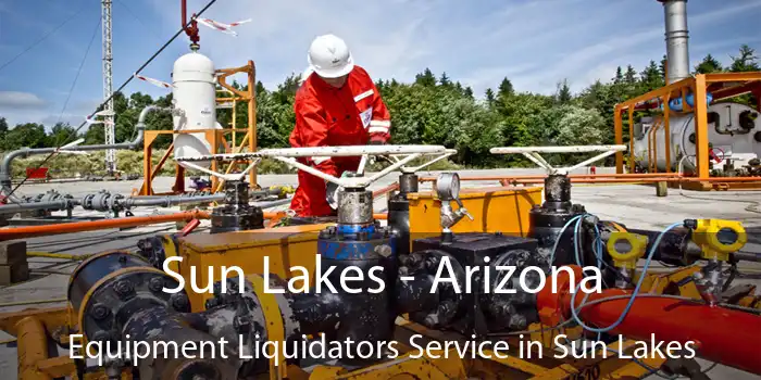 Sun Lakes - Arizona Equipment Liquidators Service in Sun Lakes