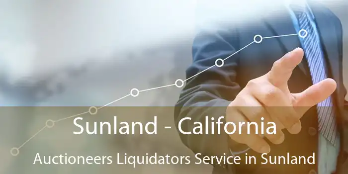 Sunland - California Auctioneers Liquidators Service in Sunland