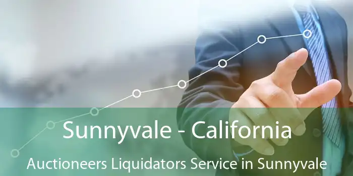 Sunnyvale - California Auctioneers Liquidators Service in Sunnyvale