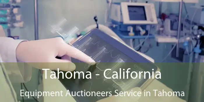 Tahoma - California Equipment Auctioneers Service in Tahoma