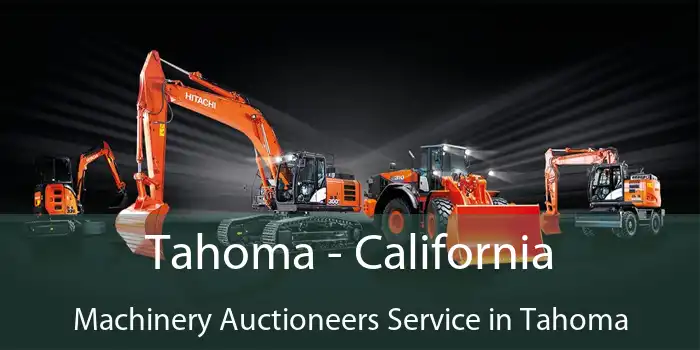 Tahoma - California Machinery Auctioneers Service in Tahoma