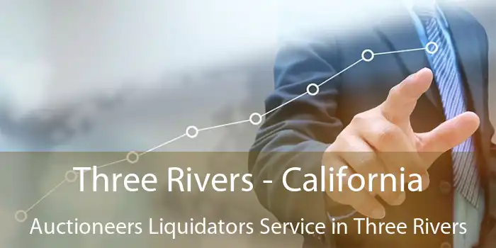 Three Rivers - California Auctioneers Liquidators Service in Three Rivers