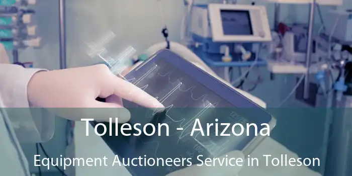 Tolleson - Arizona Equipment Auctioneers Service in Tolleson