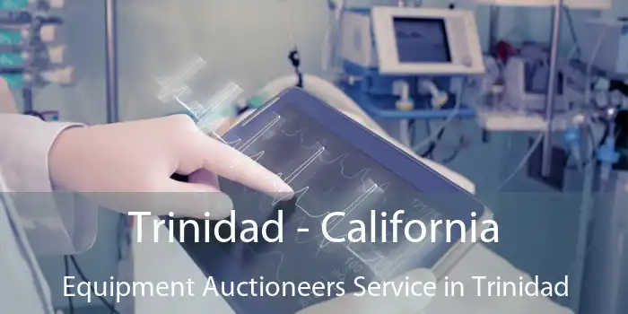 Trinidad - California Equipment Auctioneers Service in Trinidad