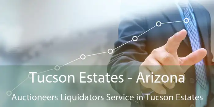 Tucson Estates - Arizona Auctioneers Liquidators Service in Tucson Estates