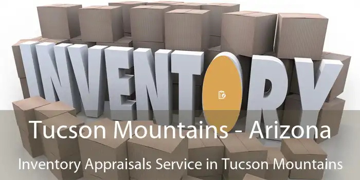 Tucson Mountains - Arizona Inventory Appraisals Service in Tucson Mountains