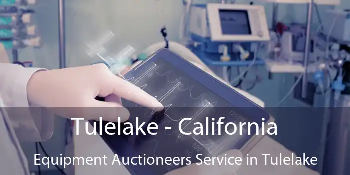 Tulelake - California Equipment Auctioneers Service in Tulelake