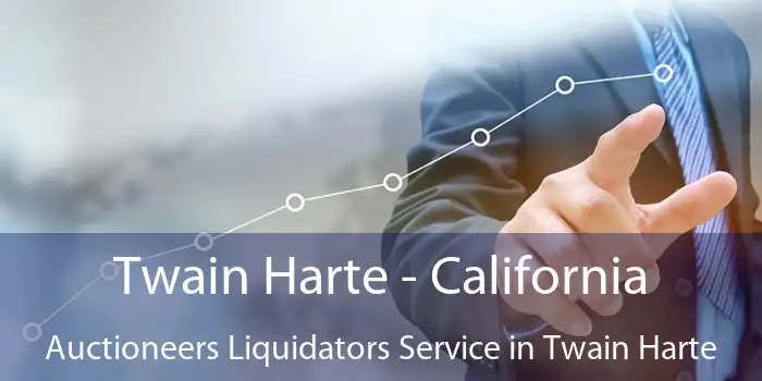 Twain Harte - California Auctioneers Liquidators Service in Twain Harte