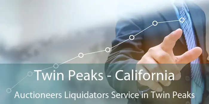 Twin Peaks - California Auctioneers Liquidators Service in Twin Peaks