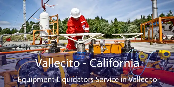 Vallecito - California Equipment Liquidators Service in Vallecito