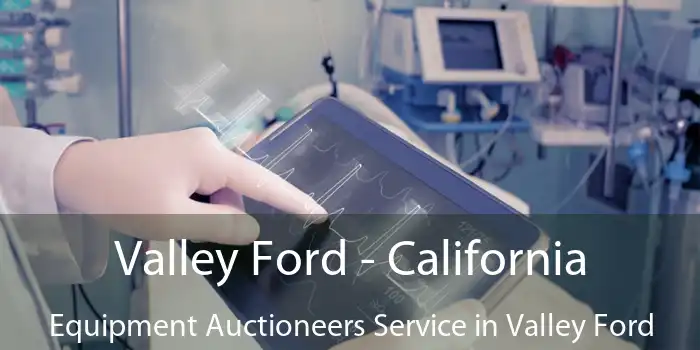 Valley Ford - California Equipment Auctioneers Service in Valley Ford