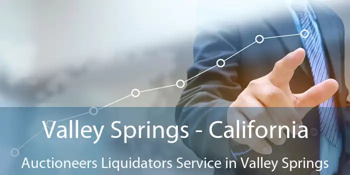 Valley Springs - California Auctioneers Liquidators Service in Valley Springs