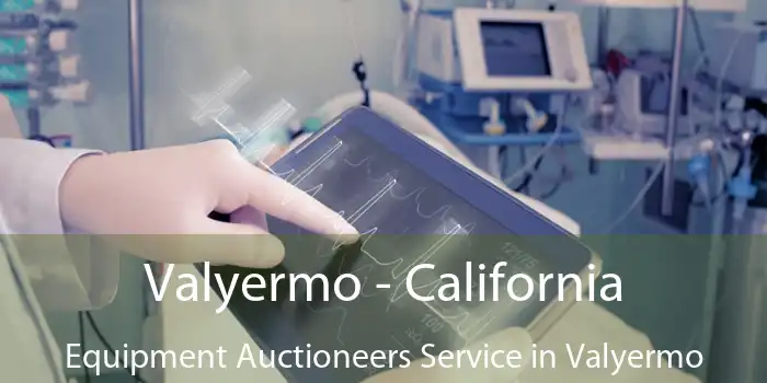 Valyermo - California Equipment Auctioneers Service in Valyermo