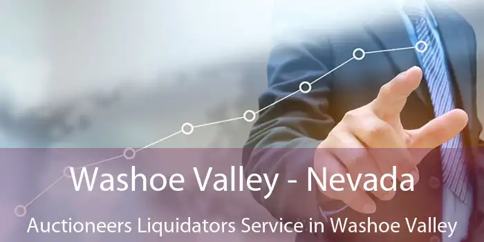 Washoe Valley - Nevada Auctioneers Liquidators Service in Washoe Valley