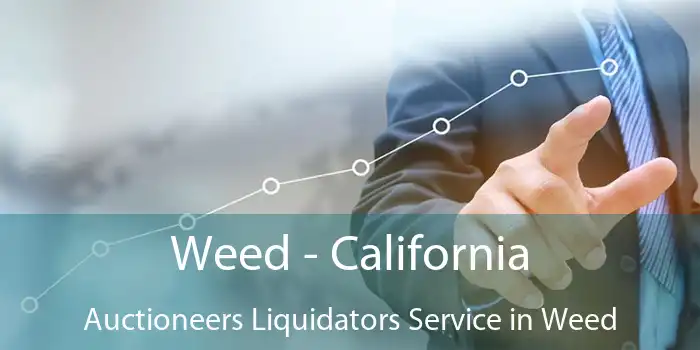 Weed - California Auctioneers Liquidators Service in Weed