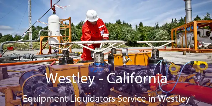 Westley - California Equipment Liquidators Service in Westley