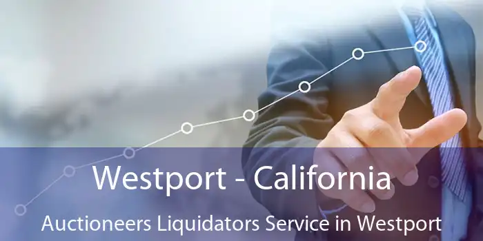 Westport - California Auctioneers Liquidators Service in Westport