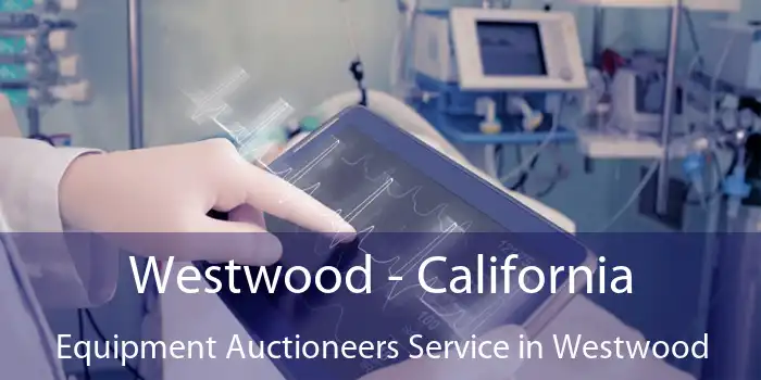 Westwood - California Equipment Auctioneers Service in Westwood