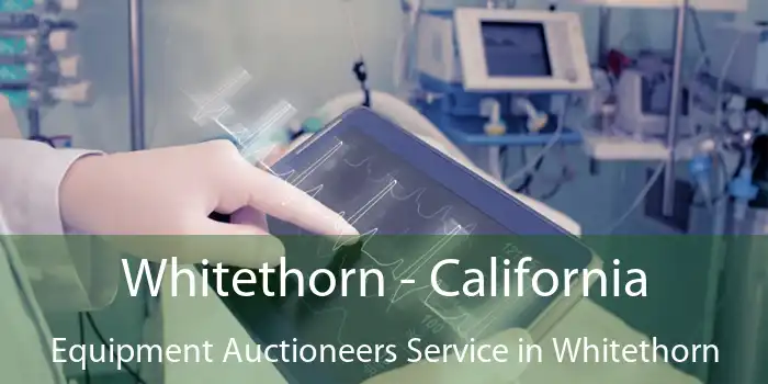 Whitethorn - California Equipment Auctioneers Service in Whitethorn