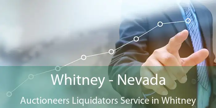 Whitney - Nevada Auctioneers Liquidators Service in Whitney