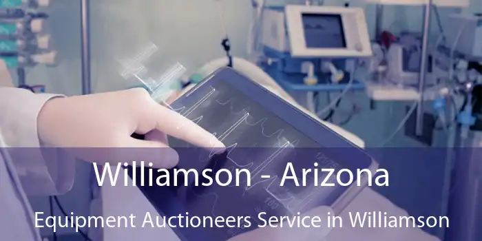 Williamson - Arizona Equipment Auctioneers Service in Williamson