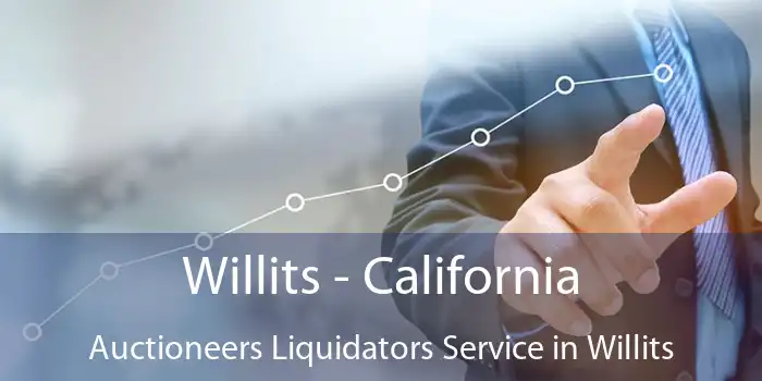 Willits - California Auctioneers Liquidators Service in Willits