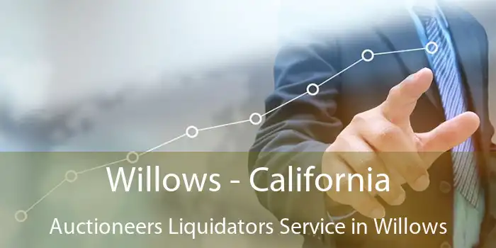 Willows - California Auctioneers Liquidators Service in Willows