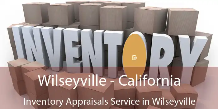 Wilseyville - California Inventory Appraisals Service in Wilseyville