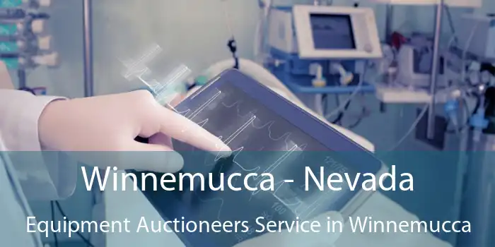 Winnemucca - Nevada Equipment Auctioneers Service in Winnemucca