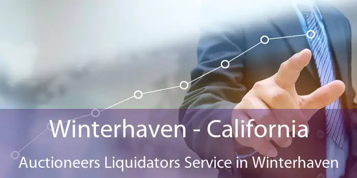 Winterhaven - California Auctioneers Liquidators Service in Winterhaven