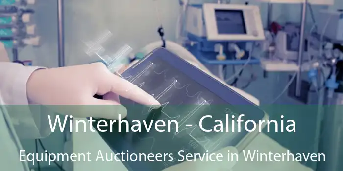 Winterhaven - California Equipment Auctioneers Service in Winterhaven