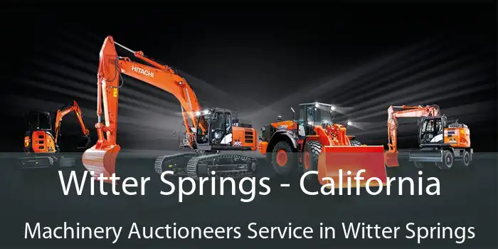 Witter Springs - California Machinery Auctioneers Service in Witter Springs