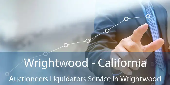 Wrightwood - California Auctioneers Liquidators Service in Wrightwood